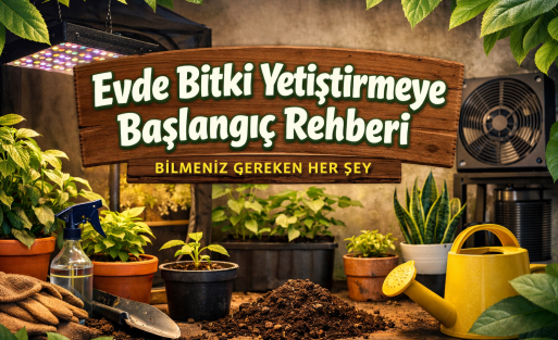 baslangic-rehberi